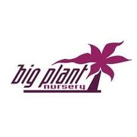 Big Plant Nursery coupons